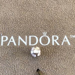 Pandora Heart Charms
